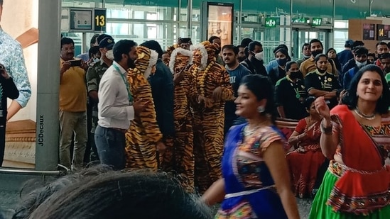 Staff were dressed in tiger costumes and traditional dresses.