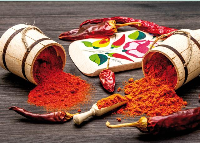 The Hungarians use paprika from India via Turkish merchants, but they use it many centuries after the chilli came to Europe The Hungarians use paprika from India via Turkish merchants, but they use it many centuries after the chilli came to Europe