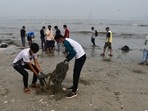 College Student , NGO, along with Municipal Corporation of Greater Mumbai (BMC) organized Mumbai's Beach-Cleaning Drive post-Ganpati-Visarjan on the Dadar Mumbai's beach September 11.(PTI)