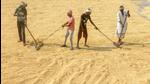 Private agencies bought 66% of the 12,000 tonnes of paddy sold in Punjab on Saturday on first day of 2022 kharif marketing season. (PTI) Private agencies bought 66% of the 12,000 tonnes of paddy sold in Punjab on Saturday on first day of 2022 kharif marketing season. (PTI)
