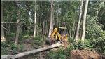 Over 6,000 trees on 16.21 hectares of land were felled for the proposed Pakhro tiger safari project in Corbett Tiger Reserve (HT Photo) Over 6,000 trees on 16.21 hectares of land were felled for the proposed Pakhro tiger safari project in Corbett Tiger Reserve (HT Photo)