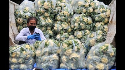 The Chandigarh administration had already removed the fine for not wearing masks in public and open places. Now, even the mandate for closed environments has been lifted. (HT Photo)