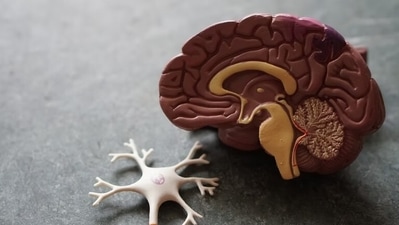 Researchers have been scrambling to find a treatment for Alzheimer’s for decades. (Unsplash) Researchers have been scrambling to find a treatment for Alzheimer’s for decades. (Unsplash)