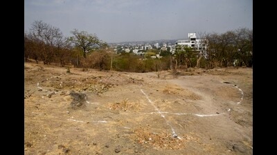 In a major relief to Pune Municipal Corporation (PMC), the forest department has approved to handover two lands at Pashan and Bhamburda to the civic body to construct water reservoirs. (REPRESENTATIVE IMAGE)