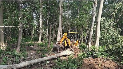 Over 6,000 trees on 16.21 hectares of land were felled for the proposed Pakhro tiger safari project in Corbett Tiger Reserve (HT Photo) Over 6,000 trees on 16.21 hectares of land were felled for the proposed Pakhro tiger safari project in Corbett Tiger Reserve (HT Photo)