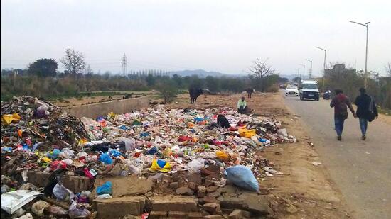 Even at the state level, Mohali dropped from the second to third position since last year, with Ferozepur and Abohar clinching the top spots. (HT Photo)