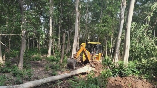 A file photo of tree felling in Corbett Tiger Reserve. (Sourced)(HT_PRINT)