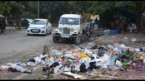Panchkula mayor Kulbushan Goyal said if the city had solid waste management, and construction and demolition waste recycling plants, it could have improved its score even further. (HT Photo)