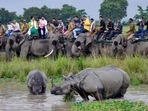 Kaziranga National Park reopens for tourists in Assam(PTI PHOTO) Kaziranga National Park reopens for tourists in Assam(PTI PHOTO)