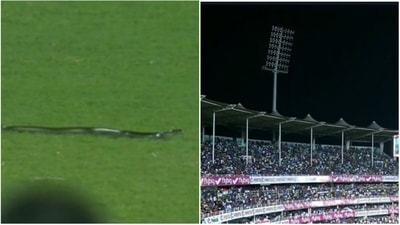 Snake stops play; Floodlight goes off in Guwahati (Twitter) Snake stops play; Floodlight goes off in Guwahati (Twitter)
