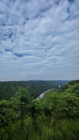 The dense forest is split in half by a river stream. ((Musthaq Ahamad-Twitter)) The dense forest is split in half by a river stream. ((Musthaq Ahamad-Twitter))