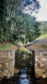 “This dam and the route is a delight!” the traveller said. (Musthaq Ahamad-Twitter) “This dam and the route is a delight!” the traveller said. (Musthaq Ahamad-Twitter)