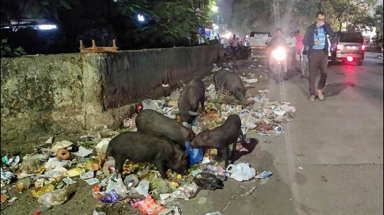 Garbage lying on a city road. (HT FILE PHOTO)