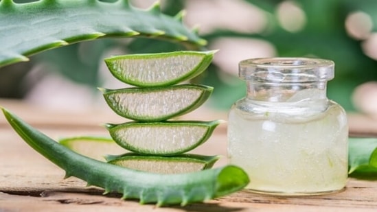 The nutritionist recommended using natural moisturisers such as aloe vera gel.(Unsplash)