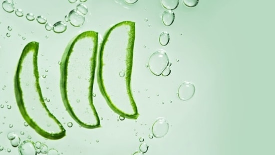 Aloe vera gel helps in reducing skin irritation and inflammation as well.(Unsplash)