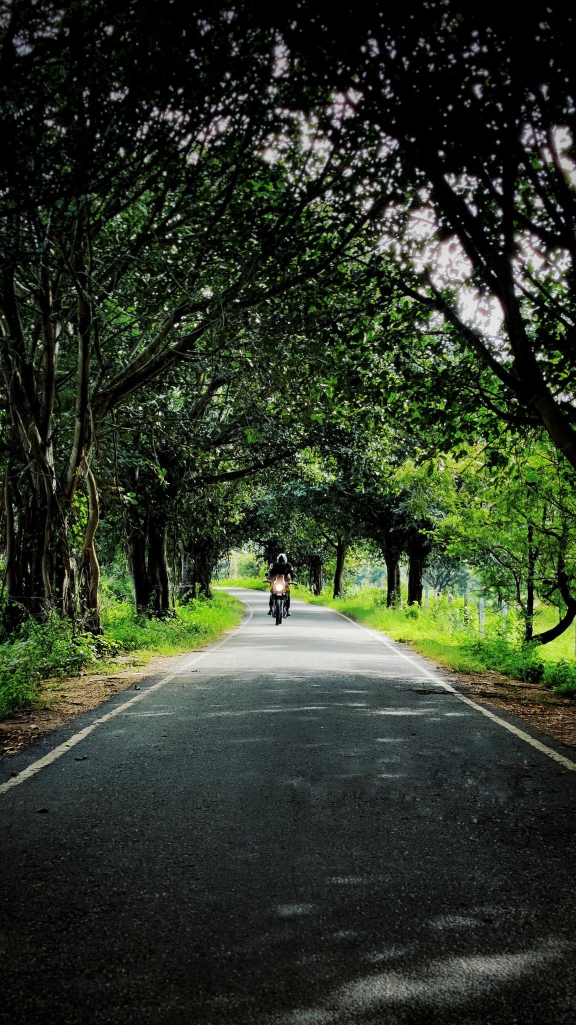 A biker and travel enthusiast listed some offbeat places to visit for a one-day trip around the Karnataka capital.((Musthaq Ahamad-Twitter))