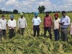 The wake-up call came two years ago with the arrival of a global pandemic. While food production didn’t come to a halt, the lockdowns and supply chain disruptions that followed took a serious toll on this interdependent system.(HT File) The wake-up call came two years ago with the arrival of a global pandemic. While food production didn’t come to a halt, the lockdowns and supply chain disruptions that followed took a serious toll on this interdependent system.(HT File)
