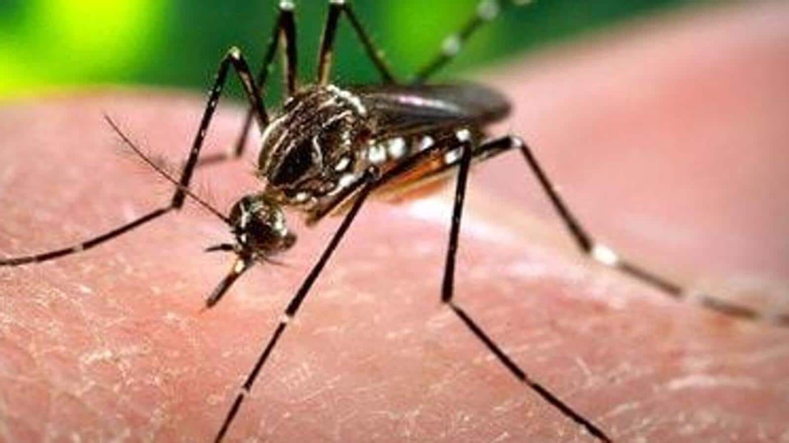 PMC intensifies chemical fogging to control dengue outbreak in Patna
