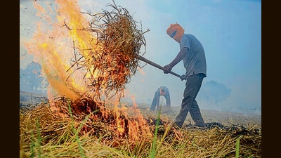 The DC has directed the SDE at Sultanpur Lodhi to submit his explanation in person on Tuesday. (PTI file photo)