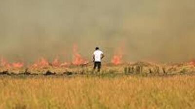 The Centre on Monday asked the Punjab government to chalk out a comprehensive action plan at the micro-level for effective control of paddy stubble burning during the ensuing season. (HT File/Representational image)