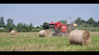 Farmers toe govt’s line to contain farm fires in Haryana Farmers toe govt’s line to contain farm fires in Haryana