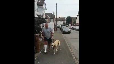 The image, taken from the viral video, shows the dog imitating its human out of sympathy. (Twitter/@hvgoenka) The image, taken from the viral video, shows the dog imitating its human out of sympathy. (Twitter/@hvgoenka)