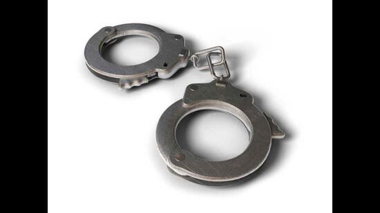 Through a probe, Mohali police also found numerous videos of the accused on social media, brandishing weapons and firing in the air, besides videos of them flaunting money (iStock)