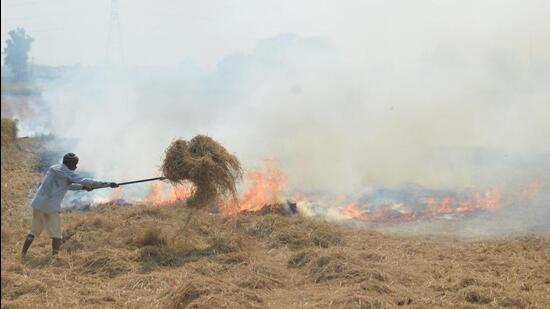 A farmer burning paddy straw in his field at Jandiala Guru near Amritsar in Punjab. (Sameer Sehgal/HT)