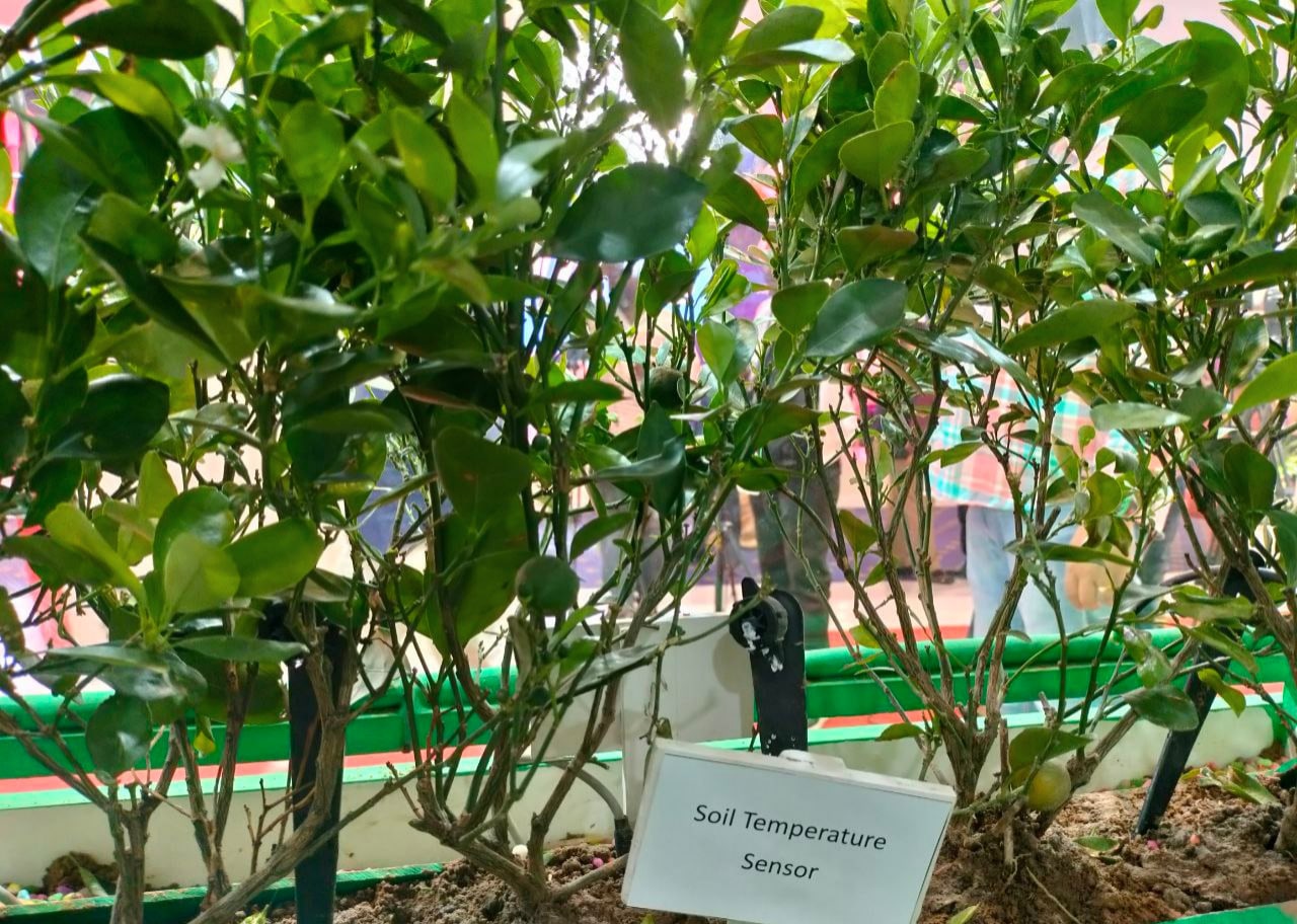 Soil sensors sense various soil parameters to judge the condition of soil. (Singh Rahul Sunilkumar) Soil sensors sense various soil parameters to judge the condition of soil. (Singh Rahul Sunilkumar)