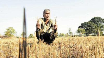 The Pradhan Mantri Fasal Bima Yojana (PMFBY) is supposed to cover the loss suffered by farmers for notified crops. (Representative Image/HT Photo) The Pradhan Mantri Fasal Bima Yojana (PMFBY) is supposed to cover the loss suffered by farmers for notified crops. (Representative Image/HT Photo)