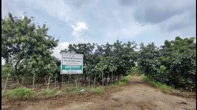 Uruli Devachi garbage depot converted to a green space ‘Amrut Van’. (Rahul Raut/HT PHOTO)