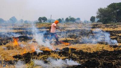 Along with unfavourable meteorological conditions, paddy straw burning in Punjab and Haryana is a major reason behind the alarming spike in air pollution levels in the national capital in October and November. (HT File) Along with unfavourable meteorological conditions, paddy straw burning in Punjab and Haryana is a major reason behind the alarming spike in air pollution levels in the national capital in October and November. (HT File)