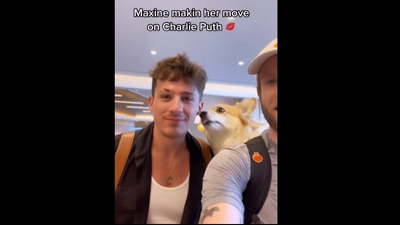 Charlie Puth was seen taking a selfie with the dog. (Instagram/@madmax_fluffyroad) Charlie Puth was seen taking a selfie with the dog. (Instagram/@madmax_fluffyroad)