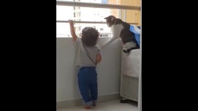 The cat turns into a ‘bodyguard’ for this toddler. (twitter/@Gabriele_Corno) The cat turns into a ‘bodyguard’ for this toddler. (twitter/@Gabriele_Corno)