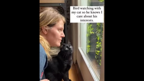 Videos my best sale cat can watch