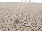 Climate change made 2022 drought 'at least 20 times likelier': Report(AFP)