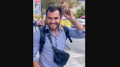 The image, taken from the Instagram video, shows the stray cat showering a stranger with love. (Instagram/@nextdoor)