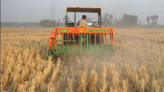 Punjab has already logged 545 farm fires till October 5 this season. (HT Photo) Punjab has already logged 545 farm fires till October 5 this season. (HT Photo)