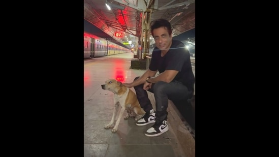 The image, taken from the viral video, shows Sonu Sood petting a dog on a railway station platform.(Instagram/@sonu_sood)