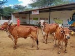 The Maharashtra government had, in early September, declared the entire state as a The Maharashtra government had, in early September, declared the entire state as a