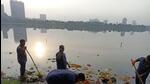 Navi Mumbai residents trash India’s 3rd cleanest city title with plastic waste Navi Mumbai residents trash India’s 3rd cleanest city title with plastic waste