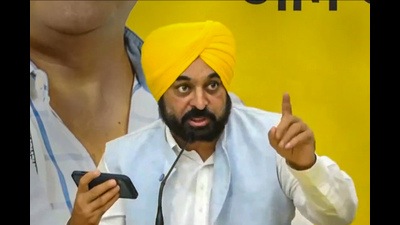 Mann said the state government has already handed over appointment letters to 4,374 constables in the force. (PTI file photo)