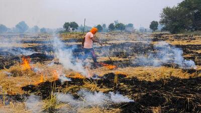 Punjab chief minister (CM) Bhagwant Mann on Thursday said his government is making all-out efforts for paddy straw management to curb stubble burning in the state, appealing to farmers to support this noble cause. (HT File) Punjab chief minister (CM) Bhagwant Mann on Thursday said his government is making all-out efforts for paddy straw management to curb stubble burning in the state, appealing to farmers to support this noble cause. (HT File)