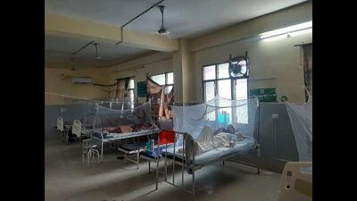 This year, the state capital has recorded over 260 dengue cases. A majority of them have been reported after September 1. (FILE PHOTO FOR REPRESENTATION ) This year, the state capital has recorded over 260 dengue cases. A majority of them have been reported after September 1. (FILE PHOTO FOR REPRESENTATION )