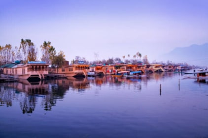 On Dal Lake, there are several different houseboats from which you can choose based on your tastes. (istockphoto) On Dal Lake, there are several different houseboats from which you can choose based on your tastes. (istockphoto)