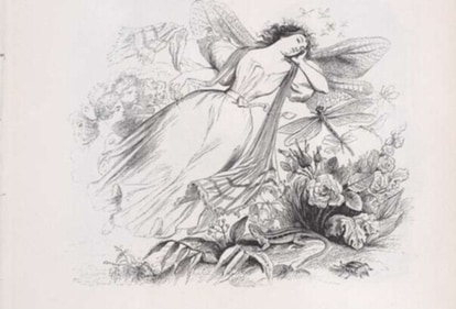 Source: https://jenikirbyhistory.getarchive.net/ Source: https://jenikirbyhistory.getarchive.net/