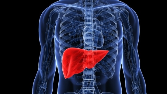 Liver cancer deaths&nbsp;are expected to rise by more than 55% by 2040: Research(Twitter/AHealthyBod)