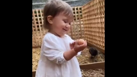 This is how the toddler reacts upon finding an egg.(Twitter/@TansuYegen)