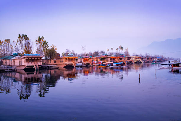 On Dal Lake, there are several different houseboats from which you can choose based on your tastes.(istockphoto)
