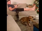 The image, taken from the Reddit video, shows the tiny pooch standing beside a big dog. The image, taken from the Reddit video, shows the tiny pooch standing beside a big dog.